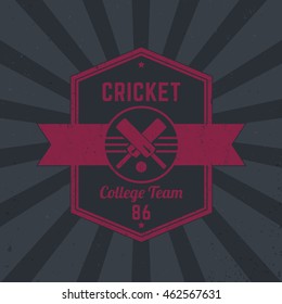 Cricket team vintage logo, badge, tetragonal emblem