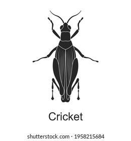 Icono negro del vector de críquet. Ilustración vectorial plaga el críquet de insectos sobre fondo blanco. Icono de ilustración negra aislada de insecto de plaga.