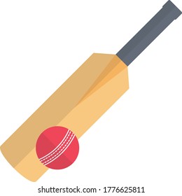 cricket vector flat color icon