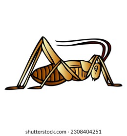 cricket vector illustration,isolated on white background,top view