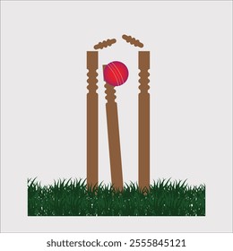 Cricket wicket ball games design cricket games