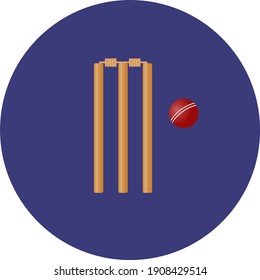 Cricket wicket, illustration, vector on a white background.