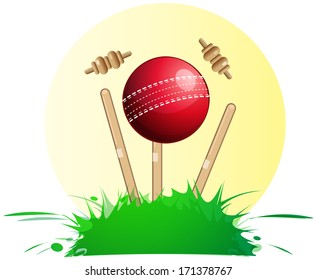 Cricket Wickets and Ball - Illustration