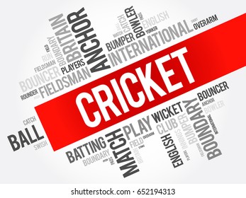 Cricket word cloud collage, sport concept background