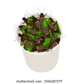 Crickets insects for eating as food deep-fried crispy snack with vegetable in disposable cup for take out home. It is good source of protein edible for eating future food and entomophagy concept.