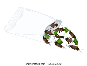 Crickets insects for eating as food deep-fried crispy snack with vegetable in a foil wrap bag ready to eat for take out. It is good source of protein edible for future food and entomophagy concept.