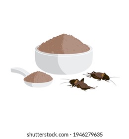 Crickets powder or Gryllus Bimaculatus. Insects powder as food edible processed made of cooked insect in bowl and spoon, it is good source of protein for eating future food and entomophagy concept.