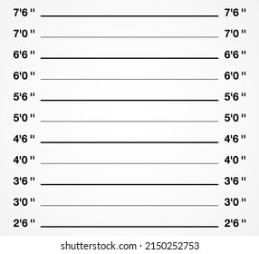 Criminal photo shooting background. Mugshot height measurement vector illustration.