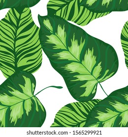 Crimson Banana Tree Vector Seamless Pattern. Rose Plant Jungle Print Hawaiian Style. Grassy Leaves Plant Wallpaper. Surf Banana Tree Pattern