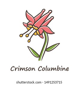 Crimson columbine color icon. Aquilegia formosa inflorescence. Blooming wildflower. Spring blossom. Red columbine.  Wild herbaceous plant with name inscription. Isolated vector illustration