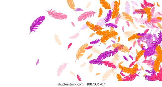 Crimson orange purple feather floating vector background. Flying bird plumage illustration. Abstract fluffy soft plumage, feather floating  isolated. Macro graphic design. Airy boa hackle.