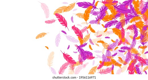 Crimson orange purple feather floating vector background. Falling bird plumage illustration. Flamingo plumage, feather floating  silhouettes. Macro graphic design. Airy boa hackle.