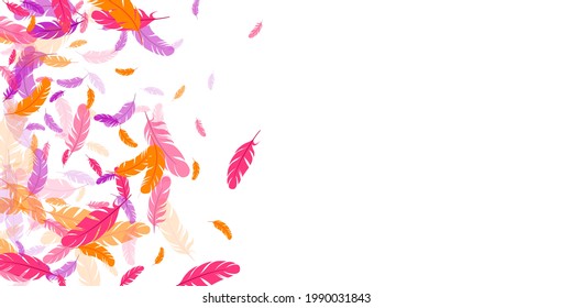 Crimson orange purple feather floating vector background. Falling bird plumage illustration. Weightless soft plumage, feather floating isolated. Close up graphic design. Vivid boa hackle.