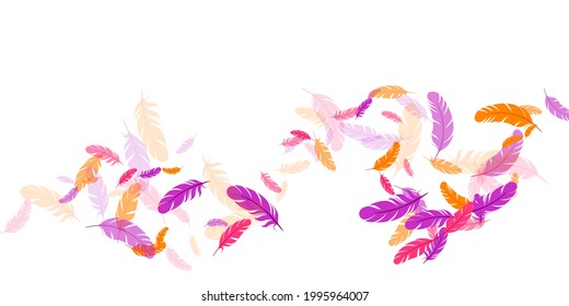 Crimson orange purple feather floating vector background. Falling down bird plumage pattern. Colorful fluffy soft plumage, feather floating  isolated. Macro graphic design. Vivid boa hackle.