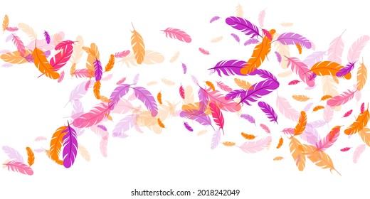 Crimson orange purple feather floating vector background. Flying bird plumage illustration. Colorful fluffy soft plumage, feather floating  isolated. Macro graphic design. Vivid boa hackle.