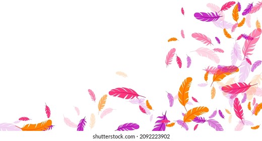 Crimson orange purple feather floating vector background. Falling down bird plumage pattern. Parrot plumage, feather floating  silhouettes. Macro graphic design. Airy boa hackle.