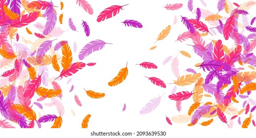 Fondo vectorial flotante de plumas moradas de color naranja carmesí. Patrón de plumaje de aves voladoras. Pluma suave ligera, siluetas flotantes de plumas. Diseño gráfico de macros. Hackle de boa.