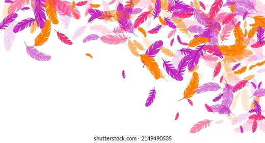 Crimson orange purple feather floating vector background. Flying bird plumage illustration. Parrot plumage, feather floating  silhouettes. Macro graphic design. Bright boa hackle.