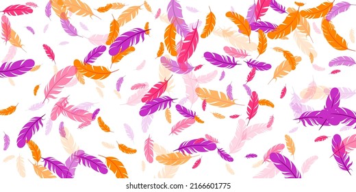 Crimson orange purple feather floating vector background. Flying bird plumage illustration. Colorful fluffy soft plumage, feather floating  isolated. Close up graphic design. Airy boa hackle.