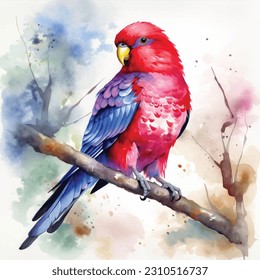 Crimson Rosella watercolor painted ilustration