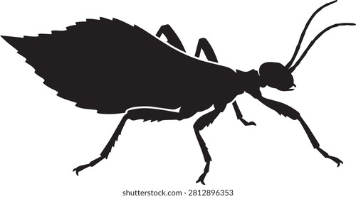 A crisp black silhouette of a Phasmatodea species positioned on pure white backdrop offering ample space for creative graphic design applications.