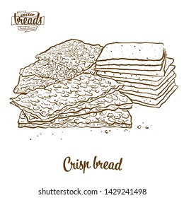 Crisp bread bread vector drawing. Food sketch of Crispy bread, usually known in Scandinavia. Bakery illustration series.