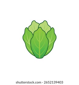 Alface cristalina iceberg variedade detalhada verde Ilustração vetorial