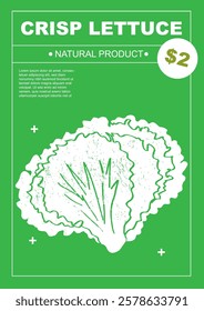 Crisp lettuce. Set of posters of vegetables in a abstract draw design. Label or poster, price tag. Simple, flat design. Patterns and backgrounds. Perfect for poster, cover, banner.