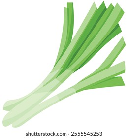 Crisp Spring Onion Ingredient for Fresh Culinary Accents
This spring onion ingredient image captures its vibrant green stalks and mild flavor, perfect for adding a fresh, crisp touch to any dish