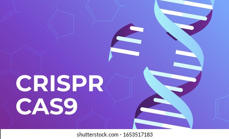 CRISPR CAS9. DNA gene editing tool, genes biotechnology and human genome engineering vector illustration. science medical concept