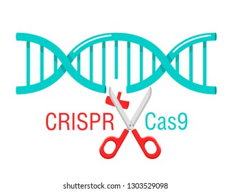 CRISPR Cas9 - Gene Editing System - DNA Spiral Cutting By Scissors - Vector Isolated Cartoon Concept 