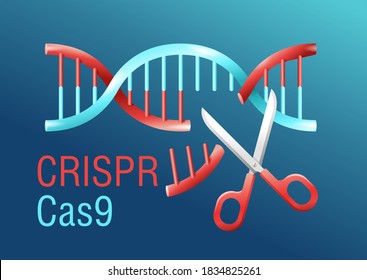 CRISPR Cas9 - gene editing system - DNA spiral cutting by scissors - vector conceptual illustration