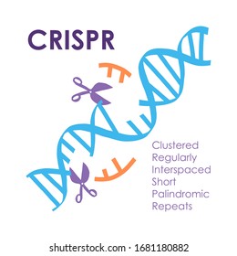 Crispr innovation and technology future banner. Clustered regular interspaced short palindromic repeats. Innovations designed for amazing performance. CRISPR genome editing process.