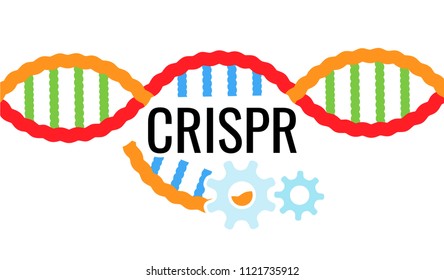 CRISPR-Cas9 The Genetic Engineering Technology that edits DNA Sequences to treat genetic causes of disease.
