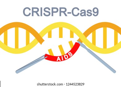 CRISPR-Cas9 The Genome Editing Technology. Engineering DNA Sequences to treat genetic causes of disease.