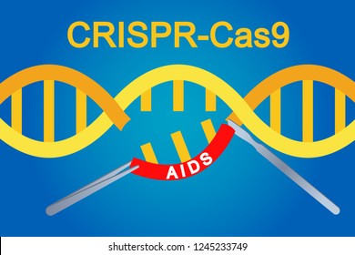 CRISPR-Cas9 The Genome Editing Technology. Engineering DNA Sequences to treat genetic causes of disease.