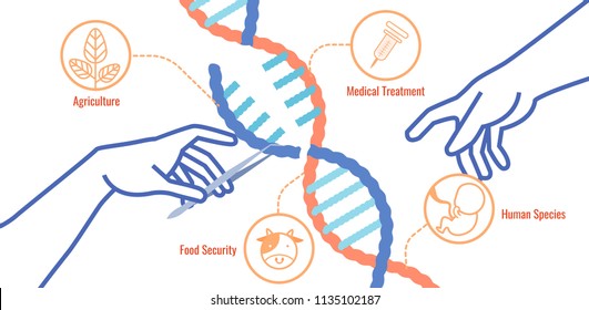 CRISPR/Cas9 Targeted Genome Engineering Benefit. Michelangelo's God Creating Adam-Inspired Vector Infographic.