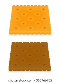 crispy biscuit cookie vector illustration isolated on gray background