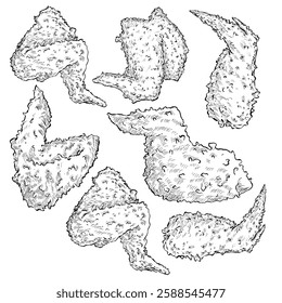 Crispy chicken wings image with hand drawn details with vector file