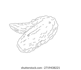 Ilustración de arte crujiente de alas de pollo fritas. Boceto de ala de pollo dibujado a mano. Esquema de alimentos mínimos en blanco y negro para menú, empaquetado, marca