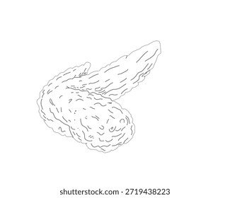 Ilustración de arte crujiente de alas de pollo fritas. Boceto de ala de pollo dibujado a mano. Esquema de alimentos mínimos en blanco y negro para menú, empaquetado, marca