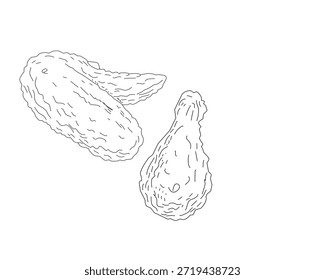 Ilustración de arte crujiente de alas de pollo fritas. Boceto de ala de pollo dibujado a mano. Esquema de alimentos mínimos en blanco y negro para menú, empaquetado, marca. Conjunto de ilustraciones