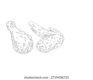 Ilustración de arte crujiente de alas de pollo fritas. Boceto de ala de pollo dibujado a mano. Esquema de alimentos mínimos en blanco y negro para menú, empaquetado, marca. Conjunto de ilustraciones