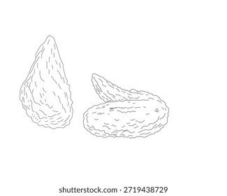 Ilustración de arte crujiente de alas de pollo fritas. Boceto de ala de pollo dibujado a mano. Esquema de alimentos mínimos en blanco y negro para menú, empaquetado, marca. Conjunto de ilustraciones