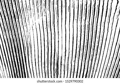 Criss-cross lines texture. Parallel and intersecting lines abstract pattern. Abstract textured effect. Black isolated on white background.Vector illustration. EPS10.