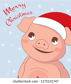 Cristmas card with cute pig in Santa's Hat, symbol of 2019 year. Vector illustration.