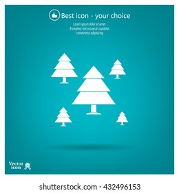 Cristmas tree icon