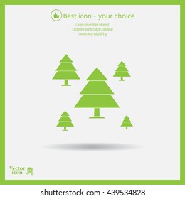 Cristmas tree icon