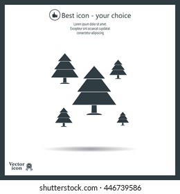 Cristmas tree icon