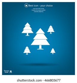 Cristmas tree icon